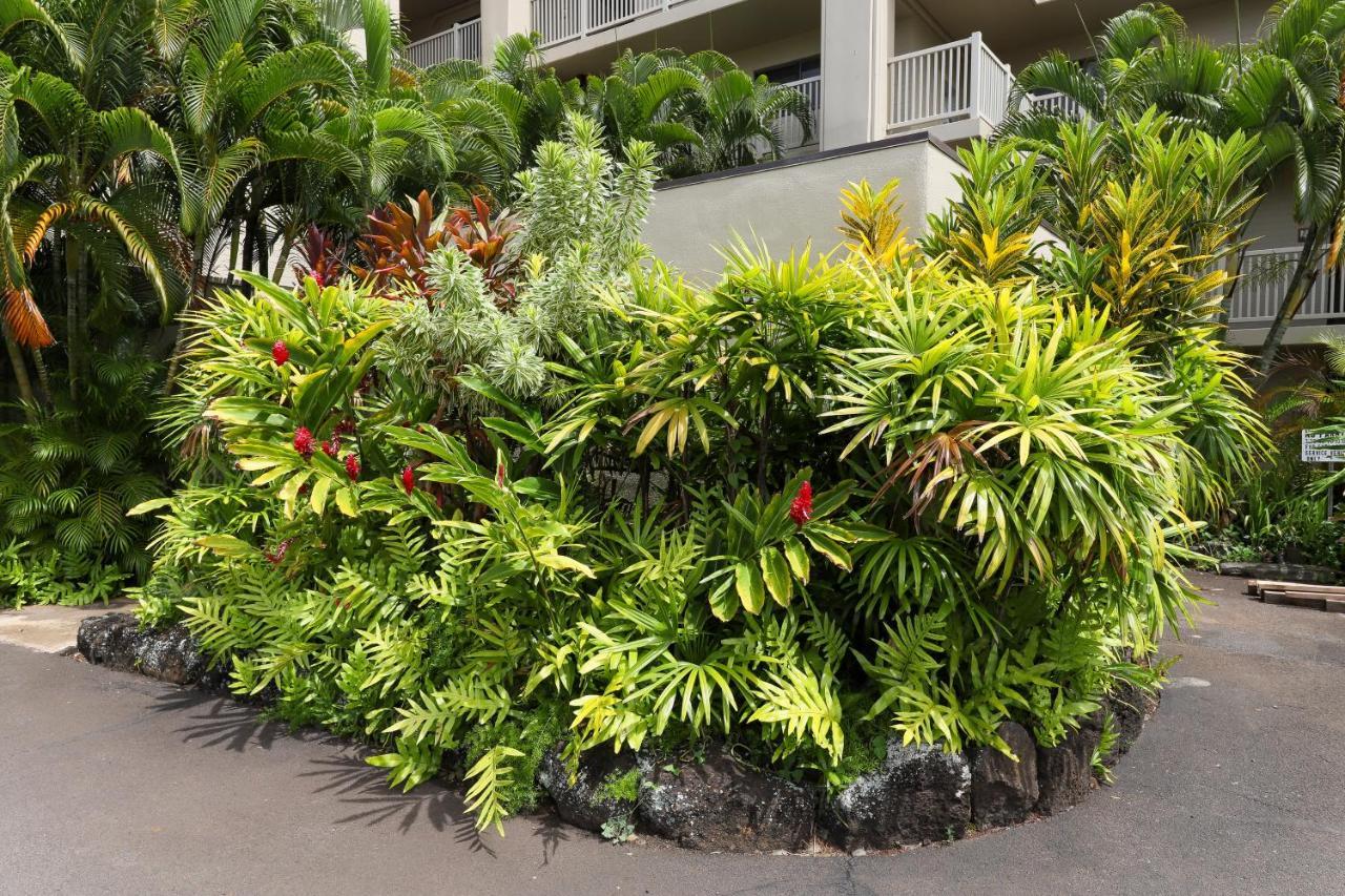Kuhio Shores 107 Kukuiula Luaran gambar